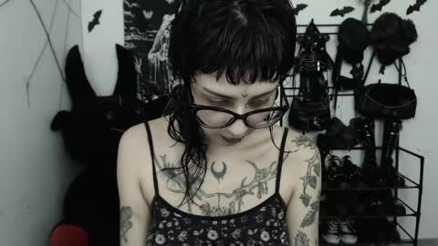 dakota online show from April 2026 03:07:02 AM