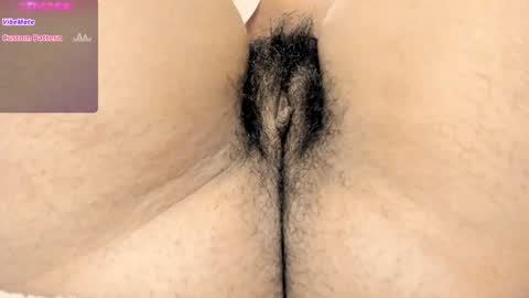 dalila online show from January 2025 05:56:01 AM