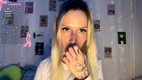 dallaspember online show from January 2026 02:10:01 PM