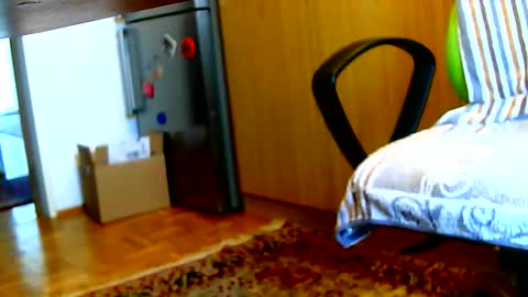 Dammerl online show from February 2025 07:40:01 AM