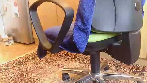 Dammerl online show from February 2025 06:59:02 AM