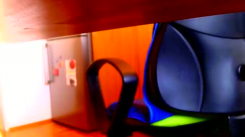 Dammerl online show from March 2025 07:19:01 AM