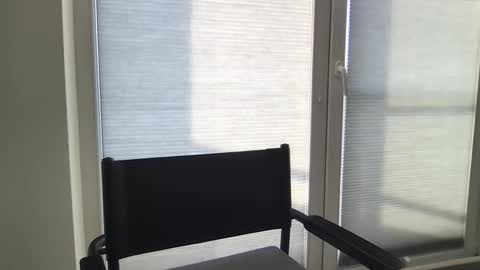 Snapshot of dan295899 chatting on March 2026 07:56:01 AM dan295899 online show from March 2026 07:56:01 AM