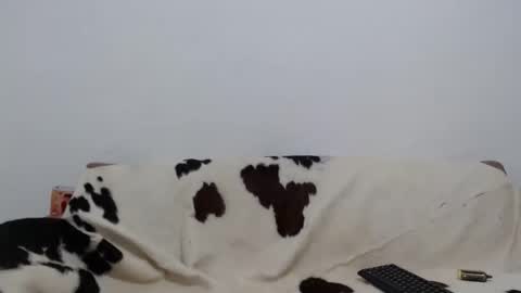 dan_jonson15 online show from November 2025 06:31:02 PM