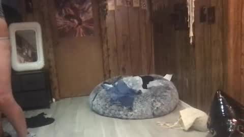 DanaMaris666 online show from September 2025 07:28:02 PM