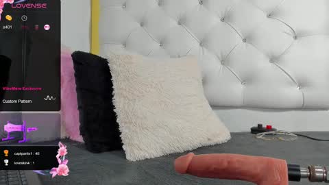 Snapshot of dani_ary chatting on February 2025 05:17:02 PM DANI online show from February 2025 05:17:02 PM