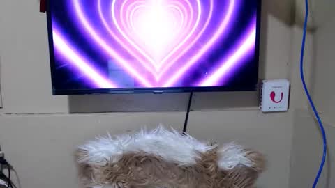 Danica online show from May 2026 11:34:04 PM