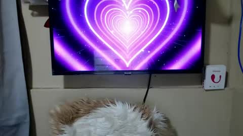 Danica online show from June 2026 11:31:01 PM