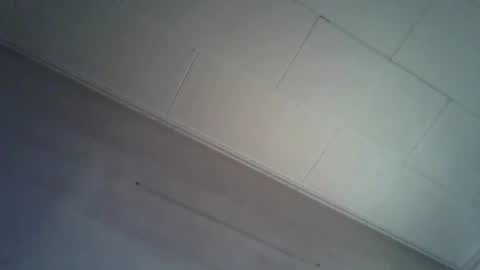 danicrss8 online show from April 2026 08:28:02 PM