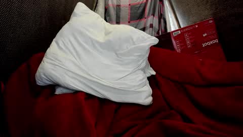 Snapshot of daniel_like chatting on March 2026 01:27:01 PM Just Ben online show from March 2026 01:27:01 PM