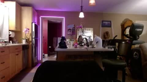 DanikaWhite69 online show from July 2026 12:31:01 PM