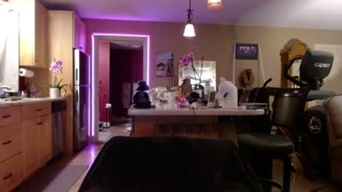 DanikaWhite69 online show from July 2026 12:01:01 PM