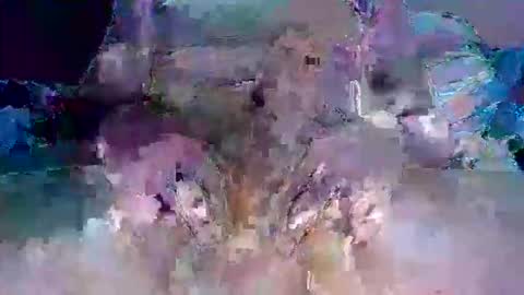 dann891 online show from March 2026 12:52:02 PM