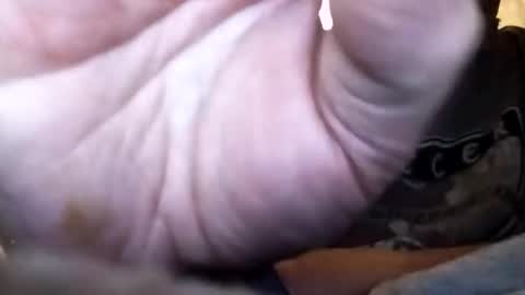 Snapshot of dannowisc chatting on February 2026 12:37:01 PM dannowisc online show from February 2026 12:37:01 PM