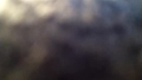 Snapshot of dannowisc chatting on March 2026 02:02:01 AM dannowisc online show from March 2026 02:02:01 AM