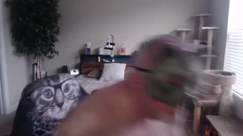 Snapshot of dannybear chatting on December 2024 03:00:02 PM Danny bear online show from December 2024 03:00:02 PM