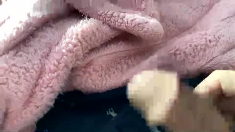 dannyboy621 online show from November 2025 02:16:02 PM