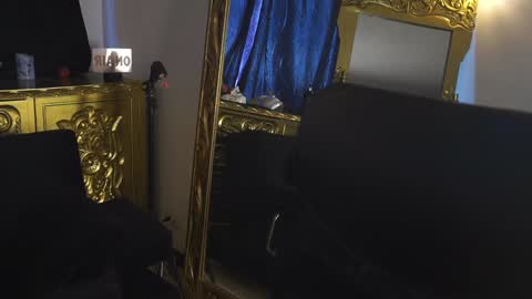 Dante coppola online show from February 2025 07:25:01 PM