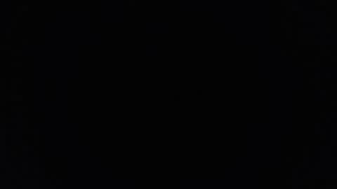 dantehellsingx online show from November 2025 02:25:01 AM