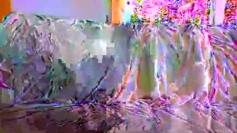 danwick69 online show from September 2025 11:45:02 AM