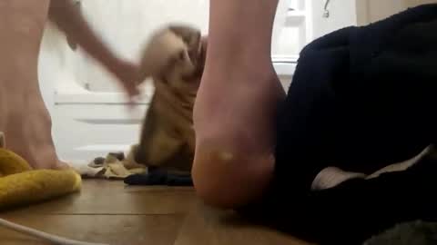 danydevil online show from November 2025 04:56:01 AM