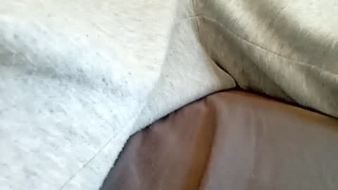 danydickontin online show from July 2026 10:46:01 AM