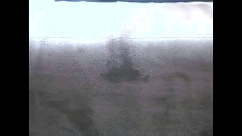 danyvdh online show from December 2024 08:51:02 AM