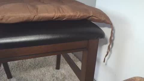 dapppper online show from May 2026 09:37:01 AM