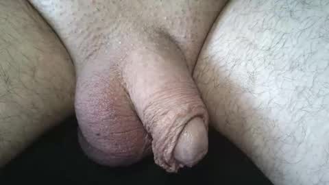 dapppper online show from May 2026 12:33:02 PM