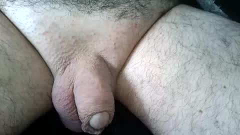 dapppper online show from June 2026 11:56:02 AM