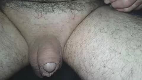 dapppper online show from June 2026 02:18:02 AM