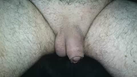 dapppper online show from June 2026 10:14:02 AM