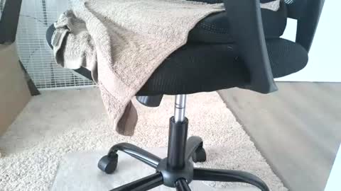 dapppper online show from June 2026 12:14:02 PM
