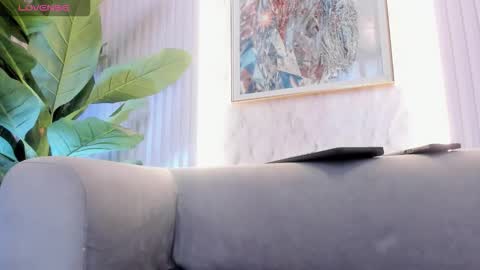    online show from November 2025 12:07:01 PM