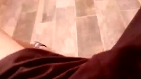 dario1127 online show from December 2025 06:45:02 PM