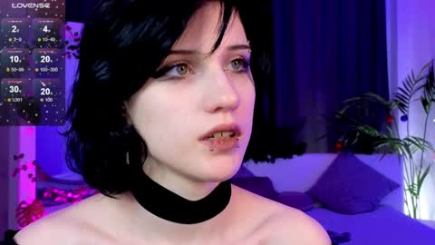 Vamp  online show from December 2024 12:03:02 AM