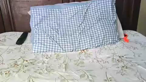 darkskinebony online show from February 2026 03:05:02 PM