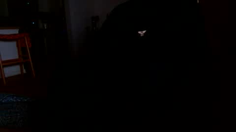 datyo1234 online show from March 2026 05:22:02 AM