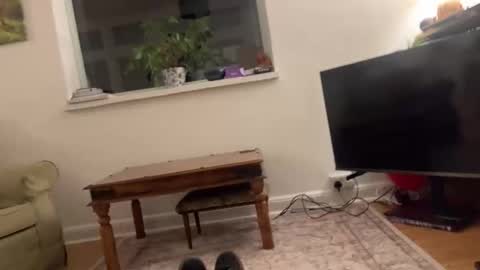 davadoodee online show from January 2026 01:42:02 AM