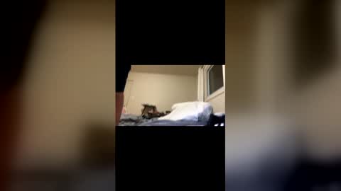 Exhibit A online show from February 2026 11:20:01 AM