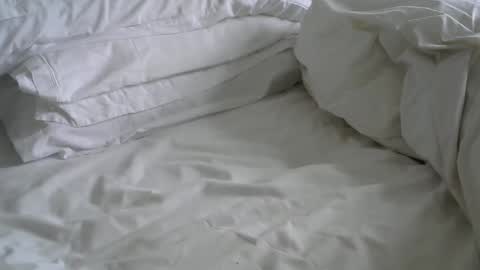 Snapshot of davesmiff1 chatting on February 2025 11:53:01 AM davesmiff1 online show from February 2025 11:53:01 AM