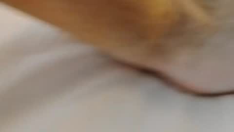 Snapshot of david1982yesyes chatting on March 2026 02:02:01 PM david1982yesyes online show from March 2026 02:02:01 PM