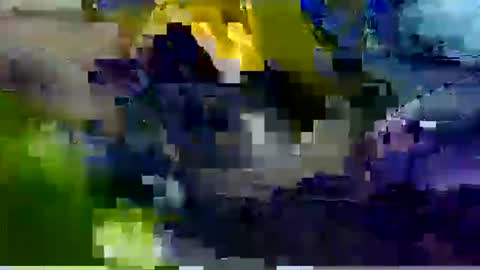 david23vergota online show from November 2025 11:13:01 AM