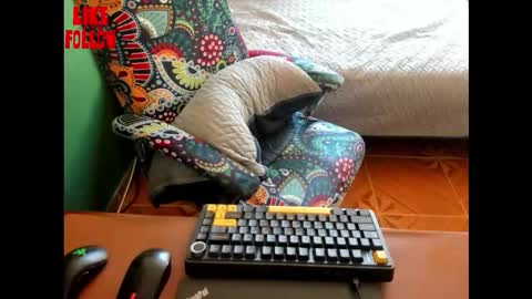 David online show from March 2026 07:17:02 PM