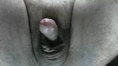 Snapshot of davidgoid911 chatting on June 2026 12:55:01 PM DavidGoid FunOnly online show from June 2026 12:55:01 PM