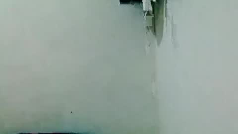 davidrocero online show from November 2025 01:00:02 PM