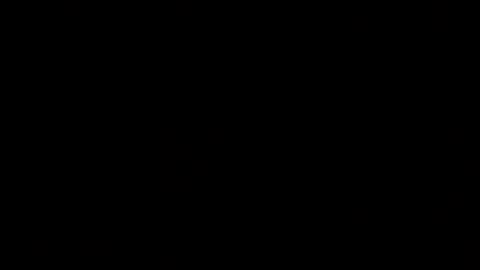DAVILS online show from July 2026 09:12:02 AM