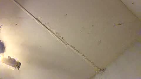 davoswayvo1 online show from September 2025 06:40:02 AM