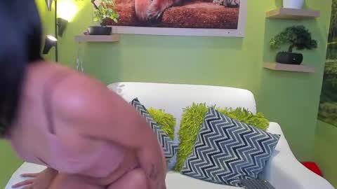 dayan_torres online show from May 2026 02:45:01 PM