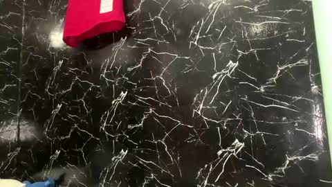 May online show from April 2026 03:50:01 PM